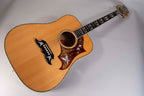 GIBSON DOVE IN FLYGHT USATA