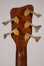 WARWICK STREAMER PRO M 5C USATO