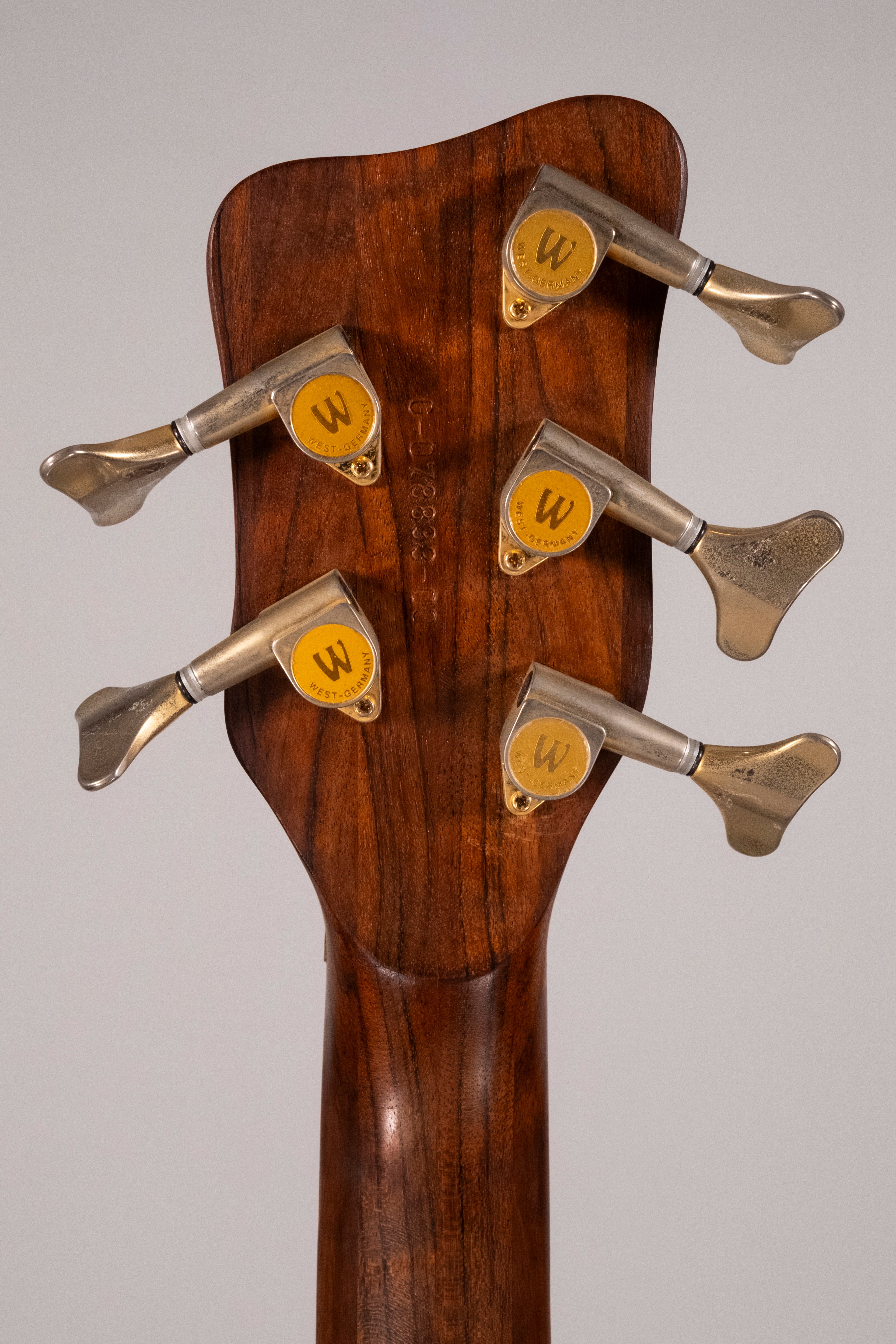 WARWICK STREAMER PRO M 5C USATO