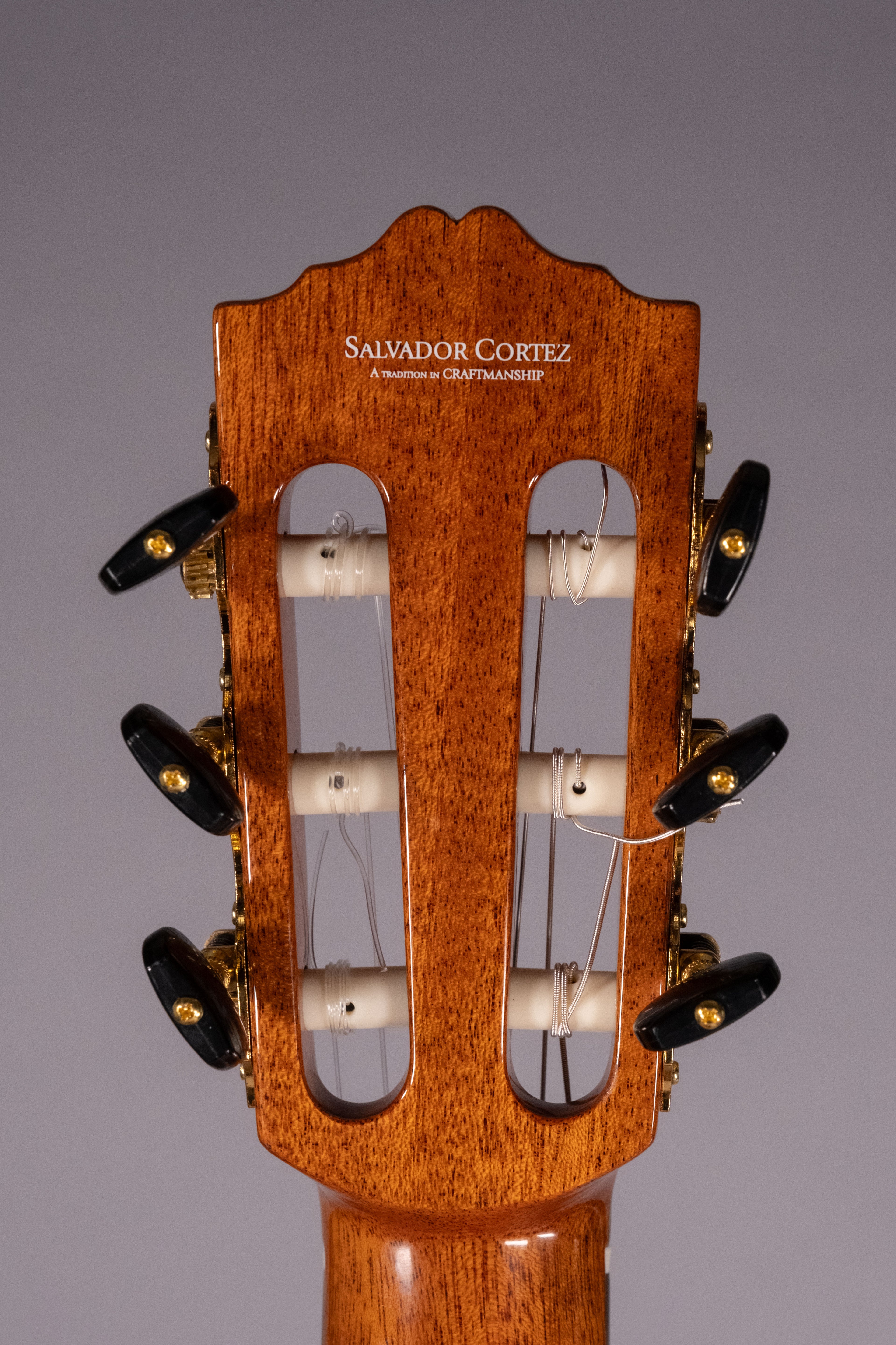 Salvador Cortez Cs245 Chitarra Classica 4/4 Narrow Elettrificata