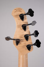 SADOWSKY MODERN 5C USATO