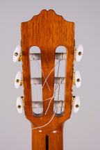 Jose Torres Jtc-FS1 Ltd Chitarra Classica Elettrificata