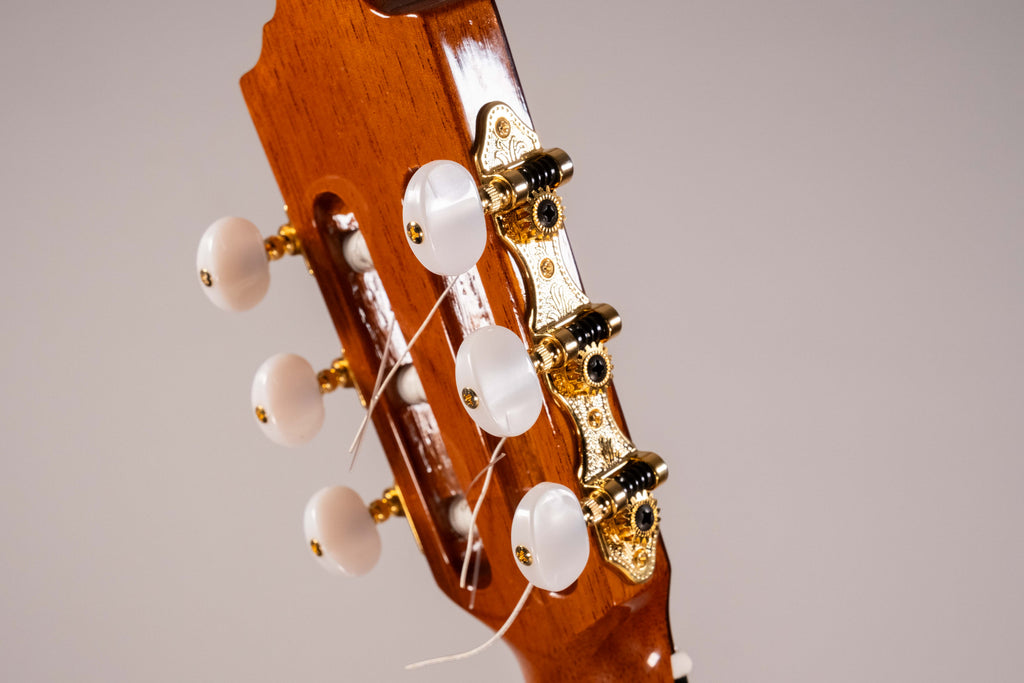 Jose Torres Jtc-FS1 Ltd Chitarra Classica Elettrificata