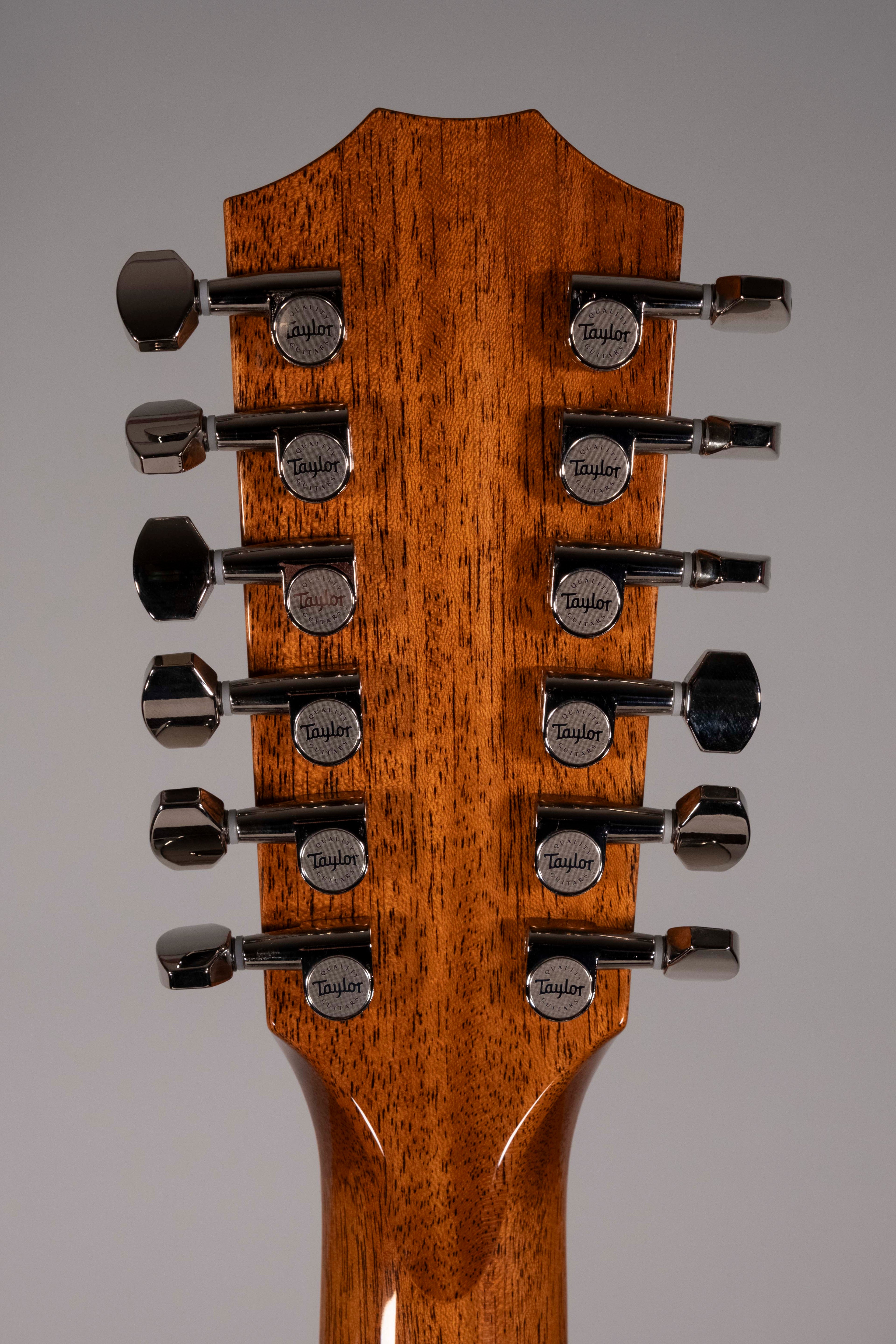 Taylor 855E Legacy Indian Rosewood Sitka