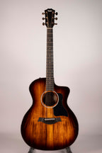 TAYLOR 224CE-K USATA