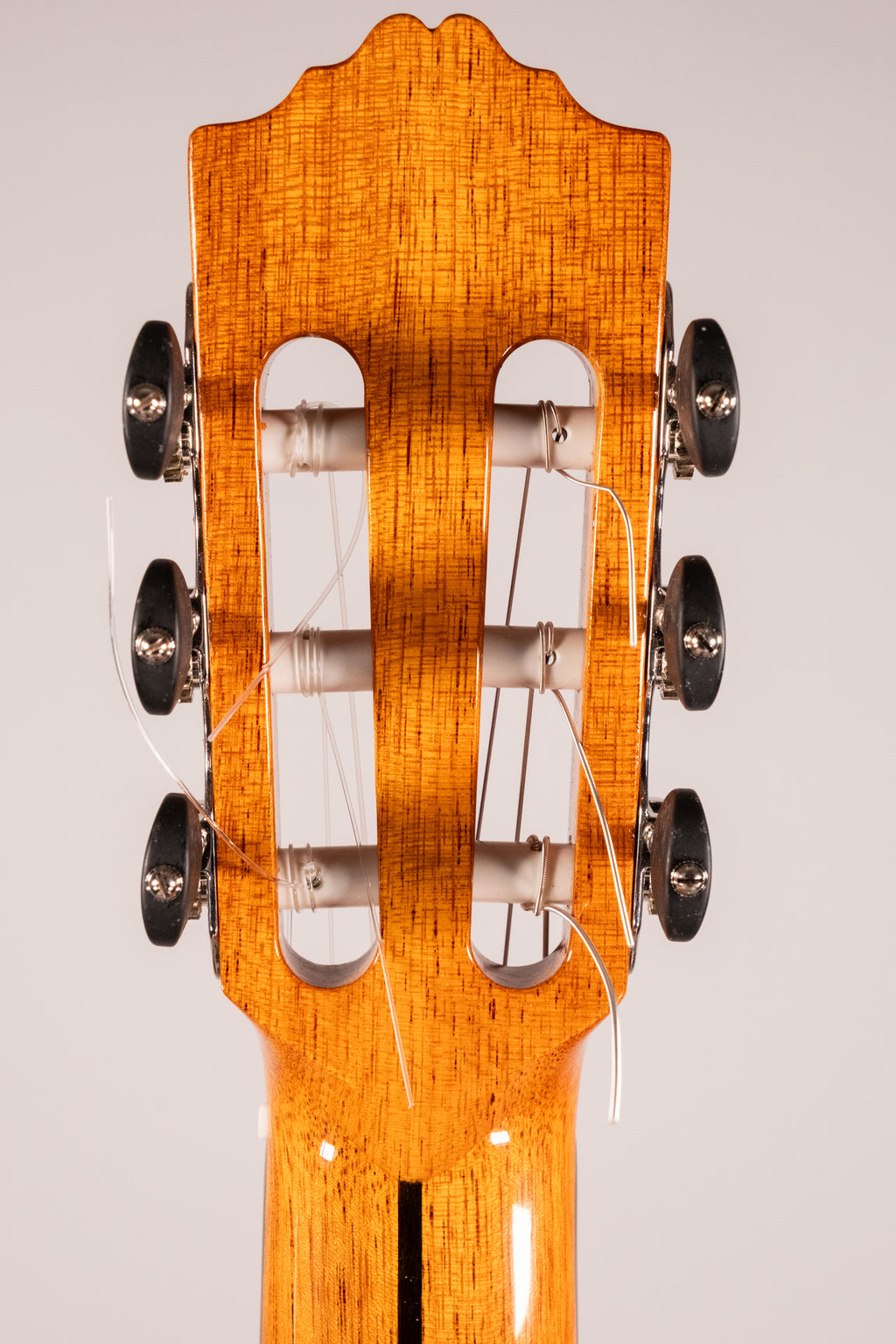 Jose Torres Jtc-210CE Chitarra Classica Cutaway Elettrificata