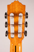 Jose Torres Jtc-210CE Chitarra Classica Cutaway Elettrificata