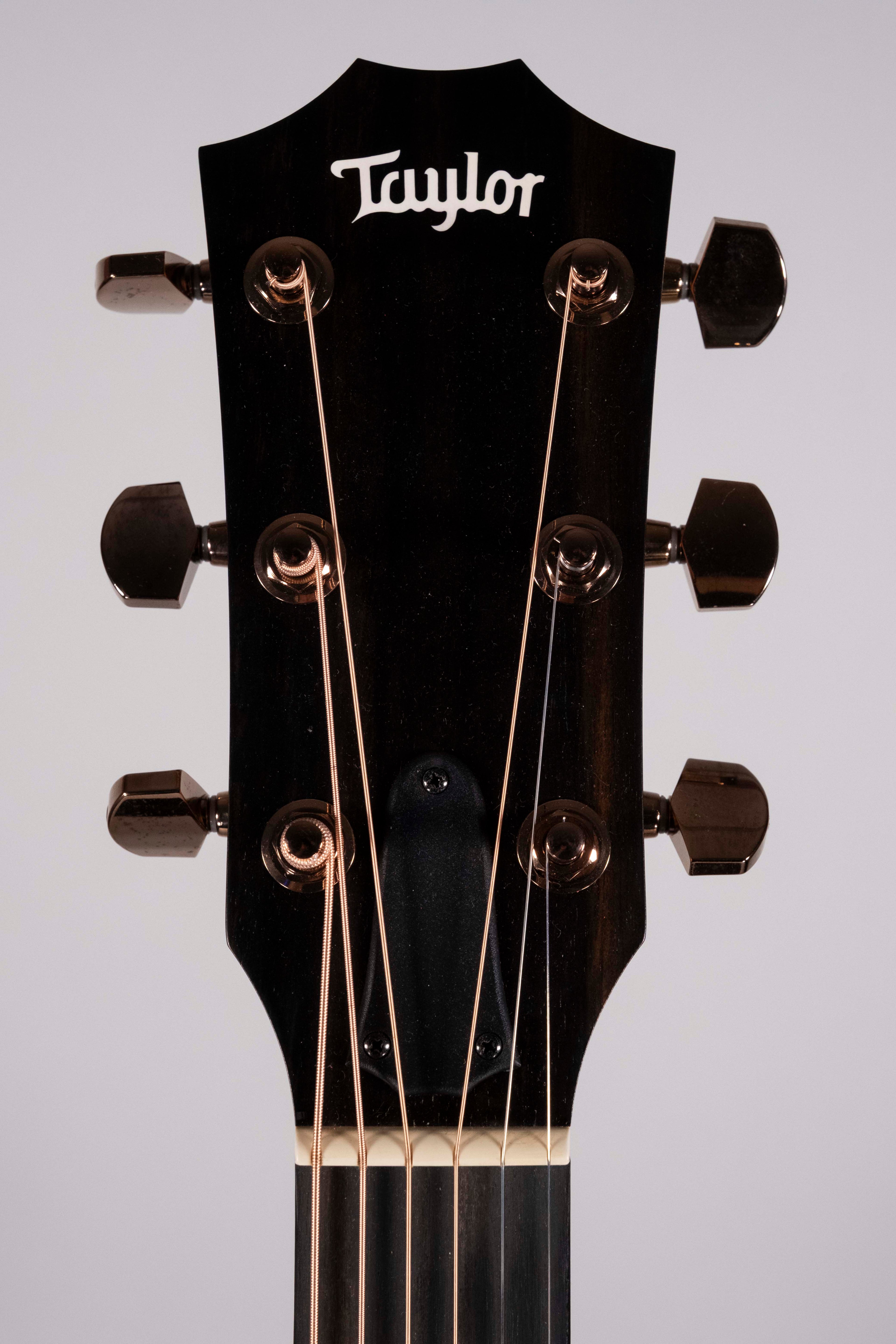 TAYLOR 224CE-K USATA