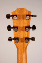 TAYLOR 224CE-K USATA