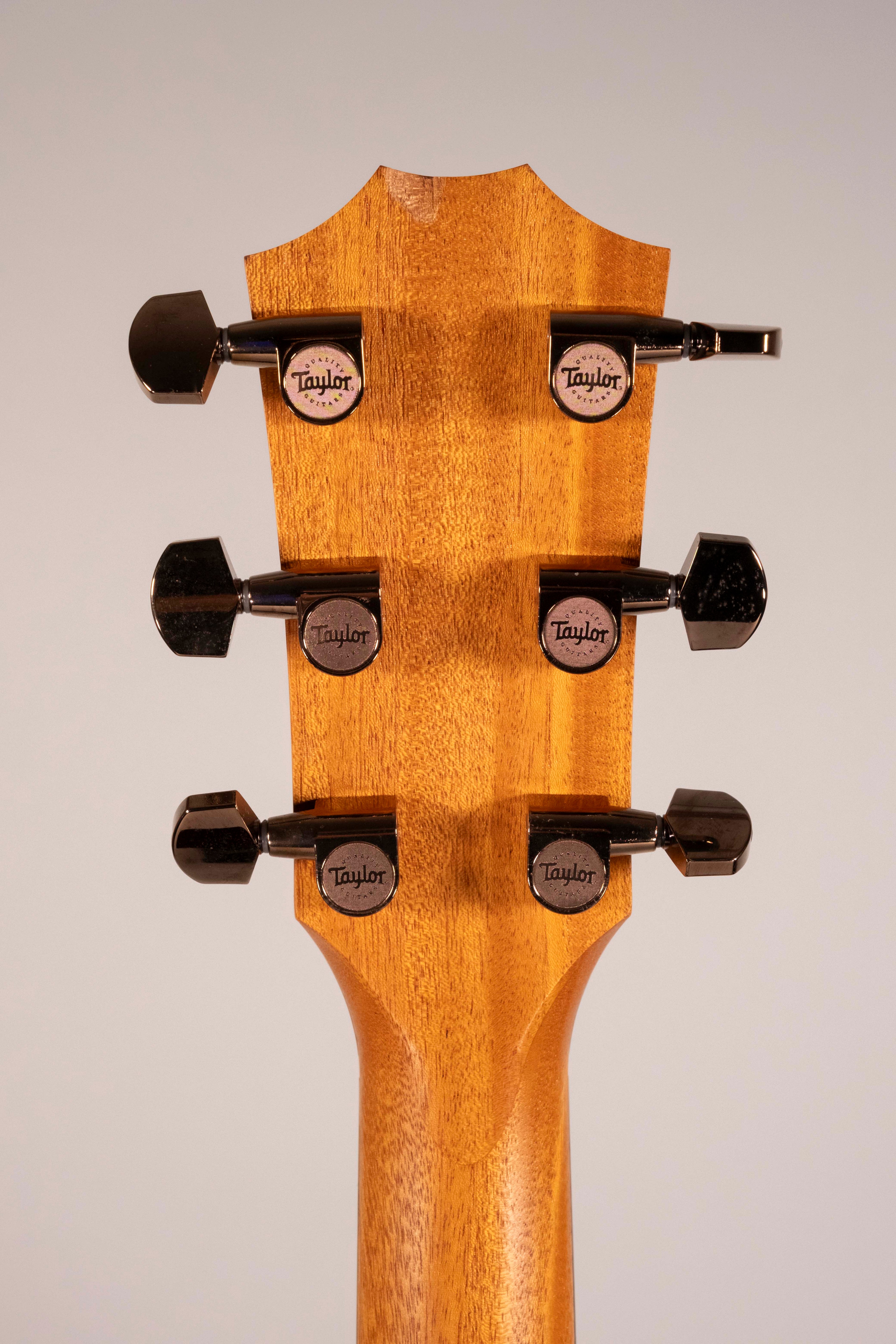 TAYLOR 224CE-K USATA