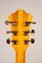 Ibanez Pm2 Natural USATA