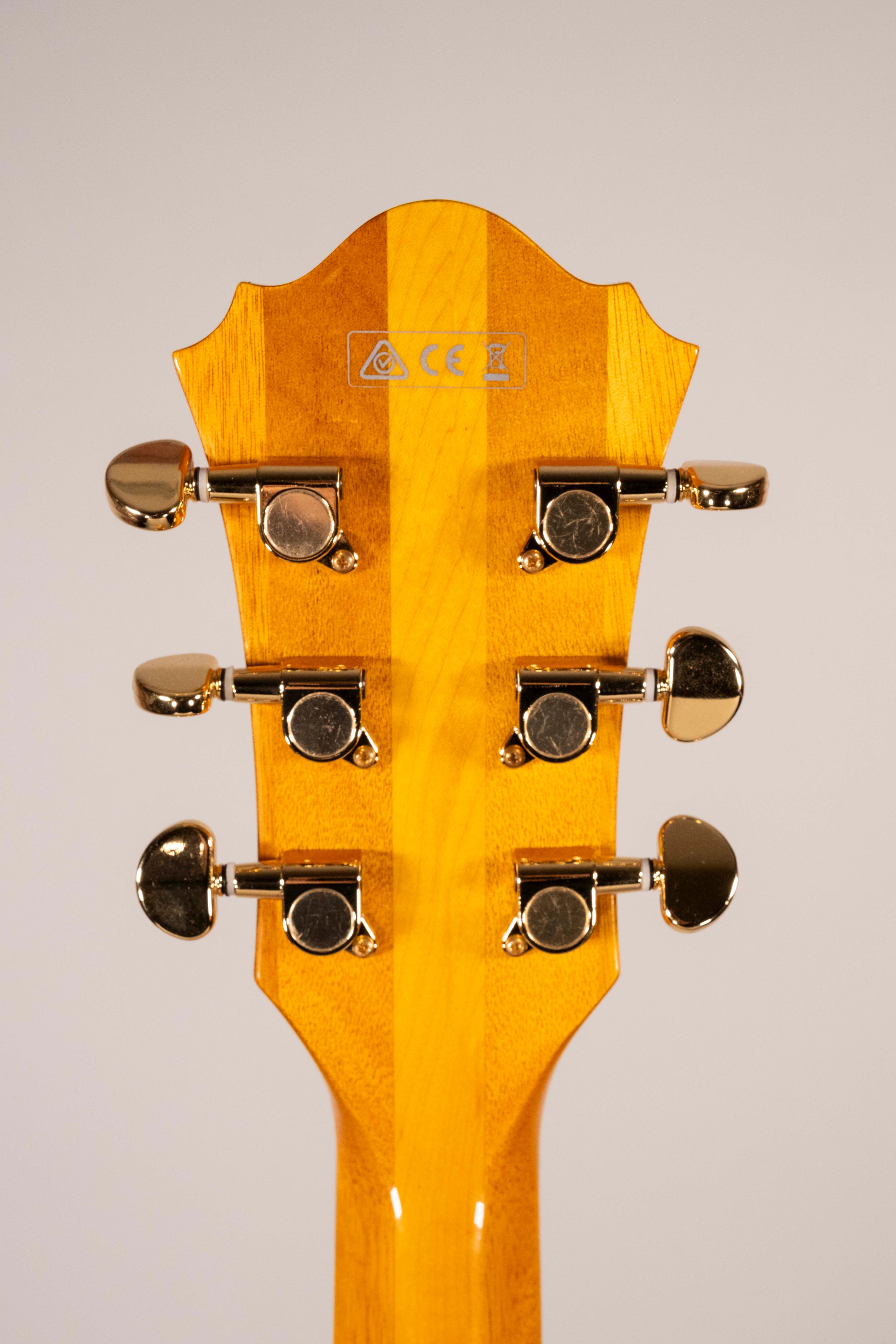 Ibanez Pm2 Natural USATA