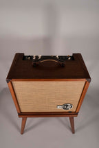 Taylor Circa 74 Acoustic Vocal Combo con Stand