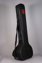 SITAR ARTIGIANALE USATO