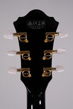 Ibanez GB10 George Benson Black