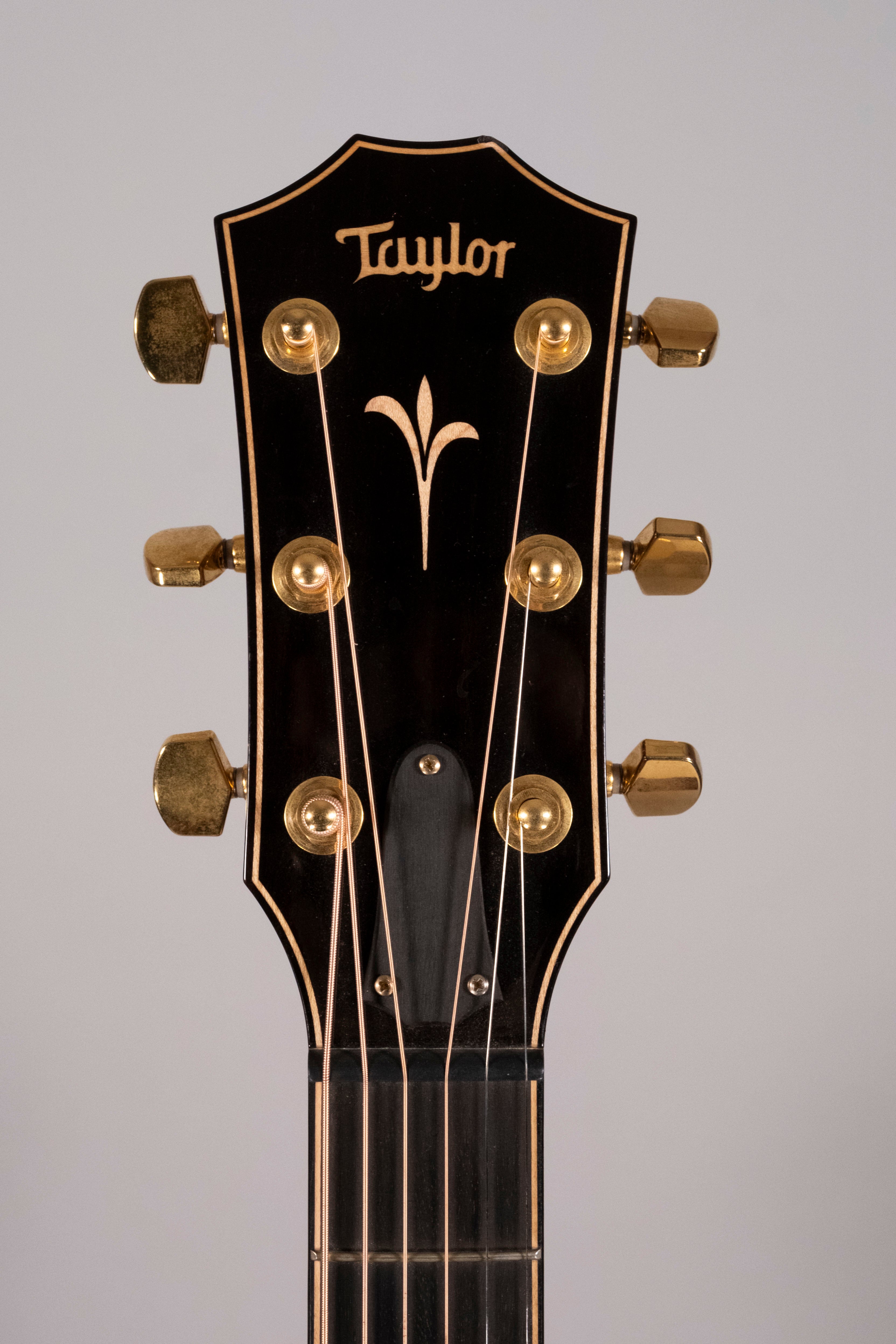 Taylor K24CE Usata