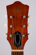 GUILD M20 1965 USATA