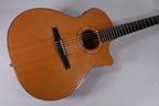 TAYLOR NS54CE USATA