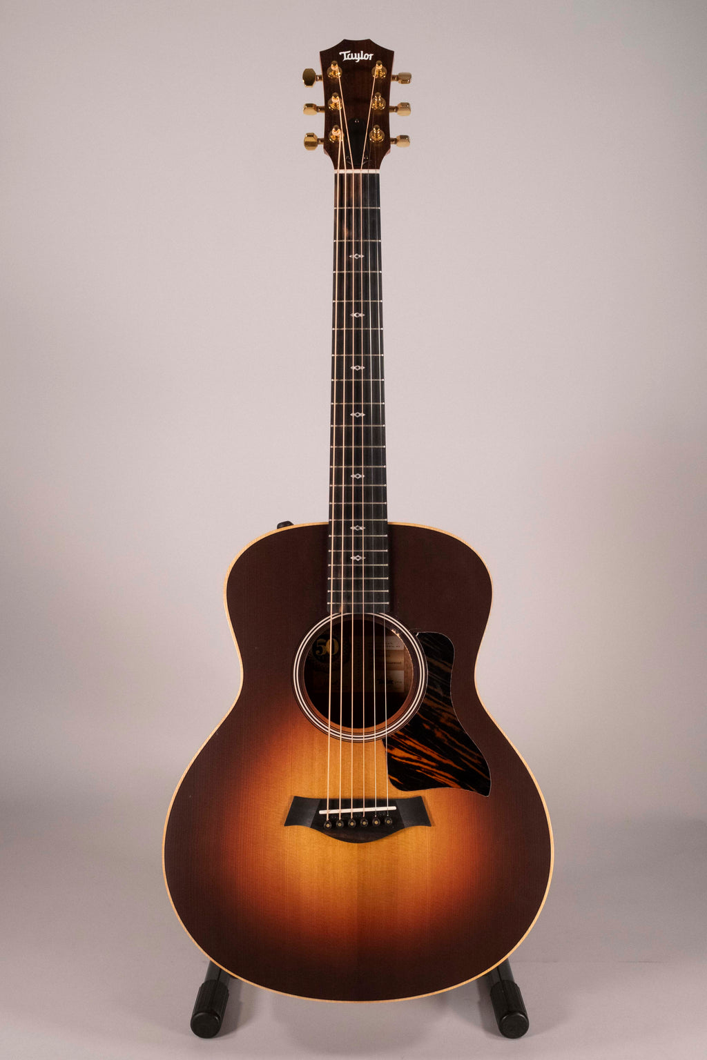 TAYLOR GS MINI E-RW LTD USATA