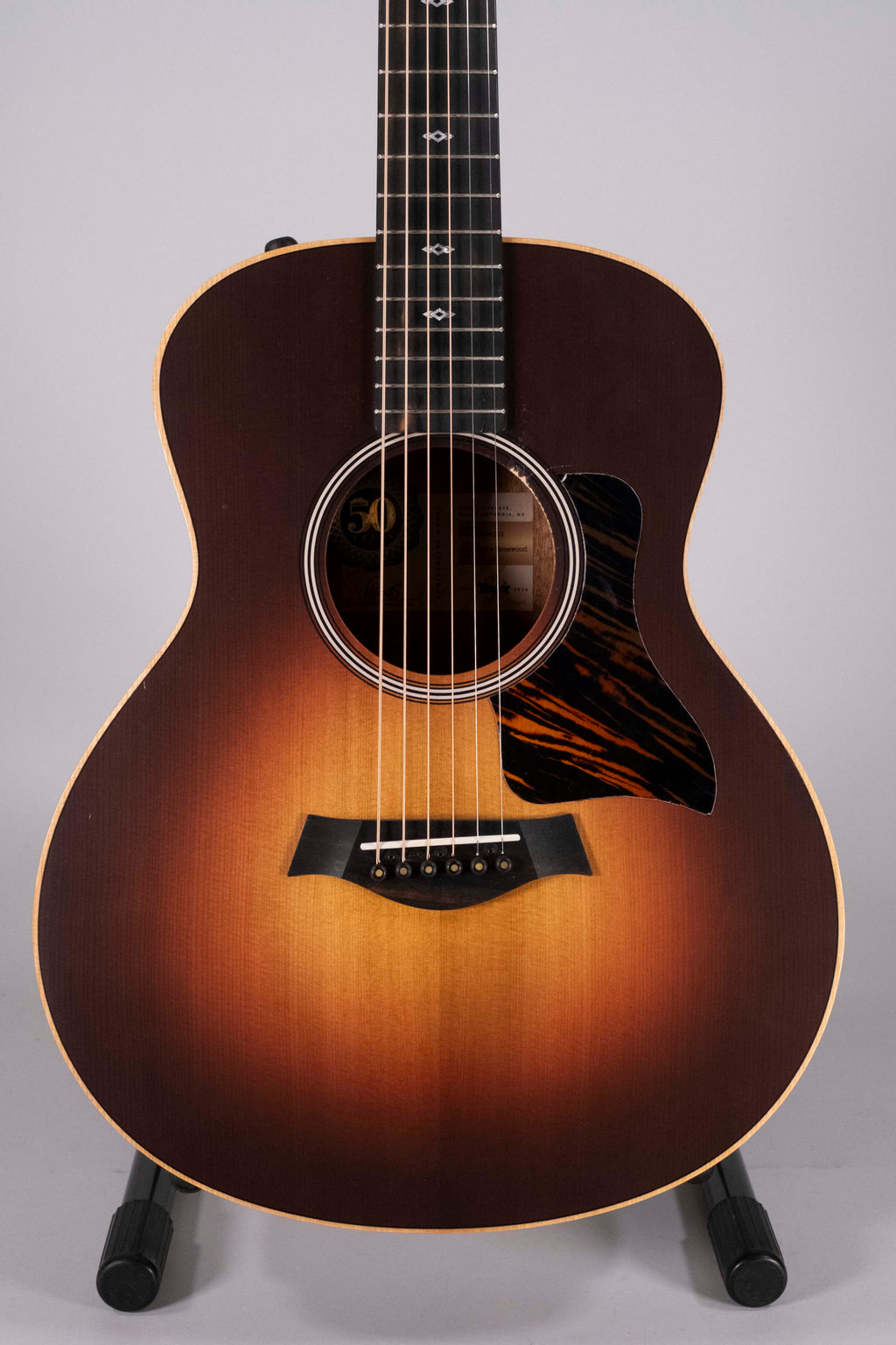 TAYLOR GS MINI E-RW LTD USATA