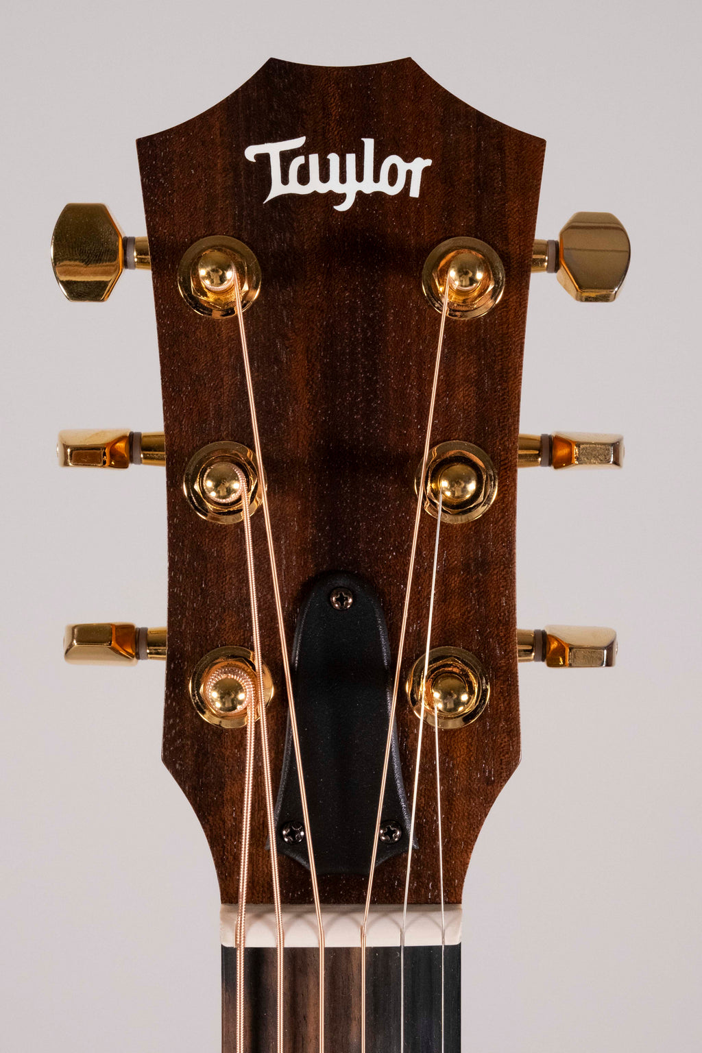TAYLOR GS MINI E-RW LTD USATA