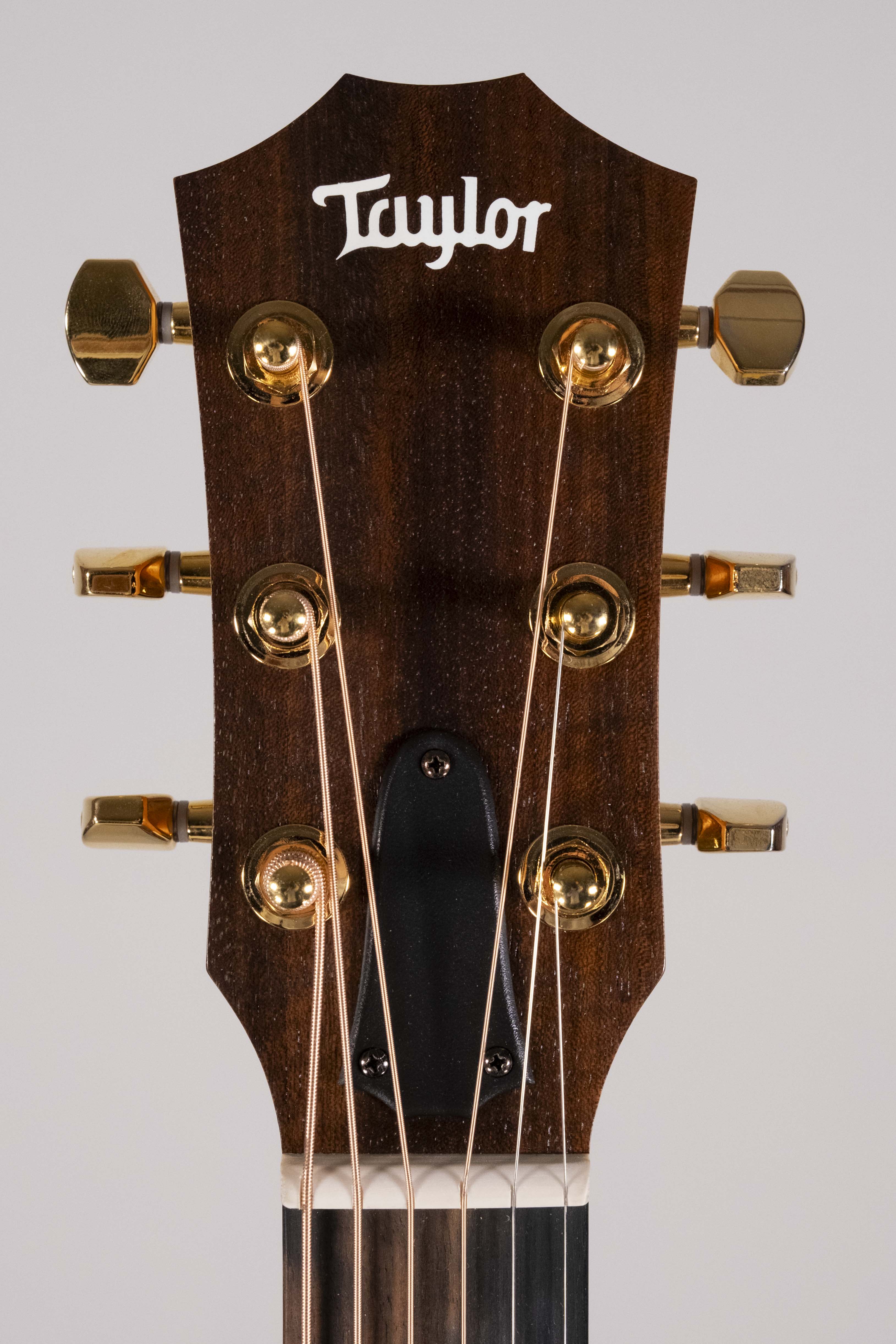 TAYLOR GS MINI E-RW LTD USATA