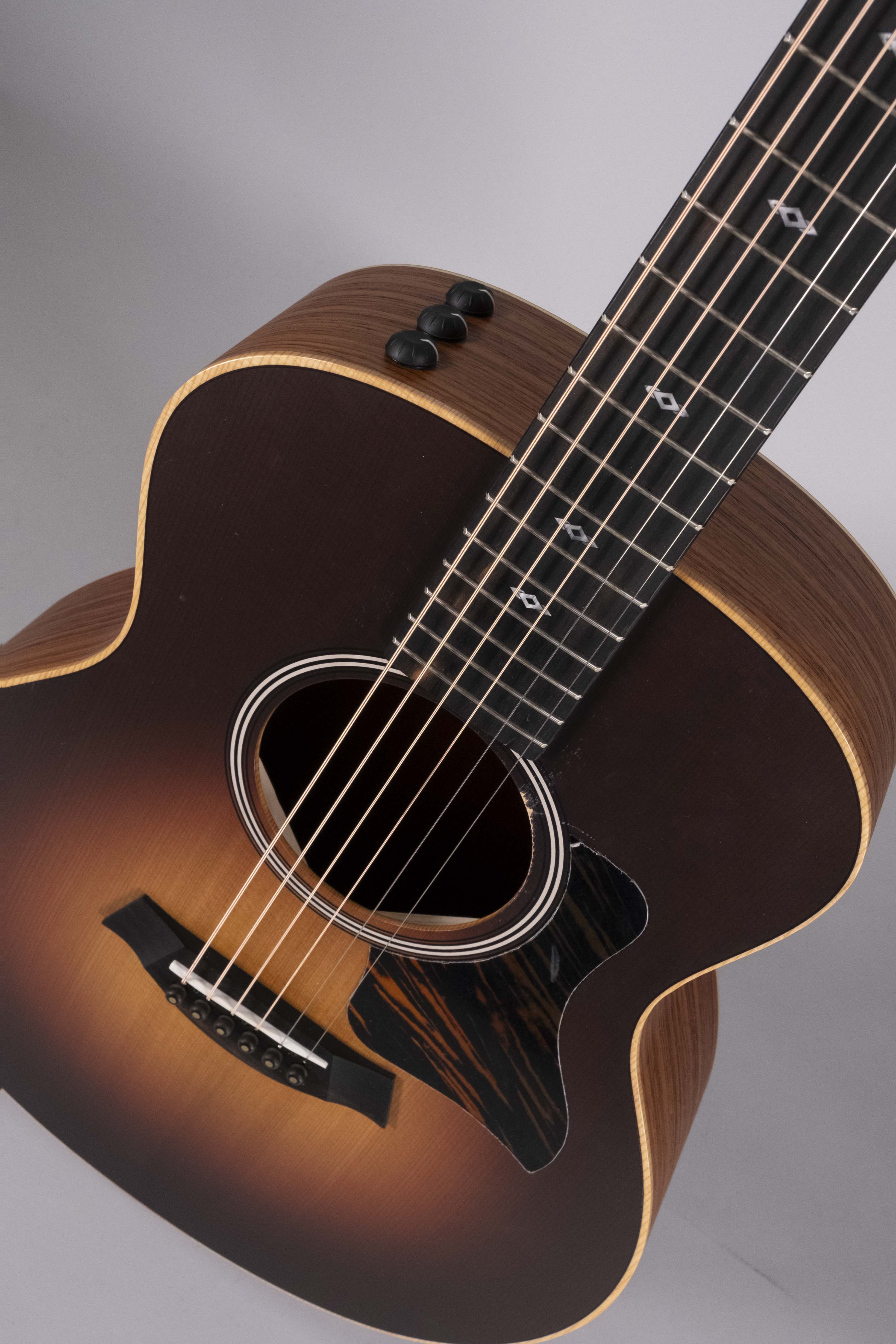 TAYLOR GS MINI E-RW LTD USATA