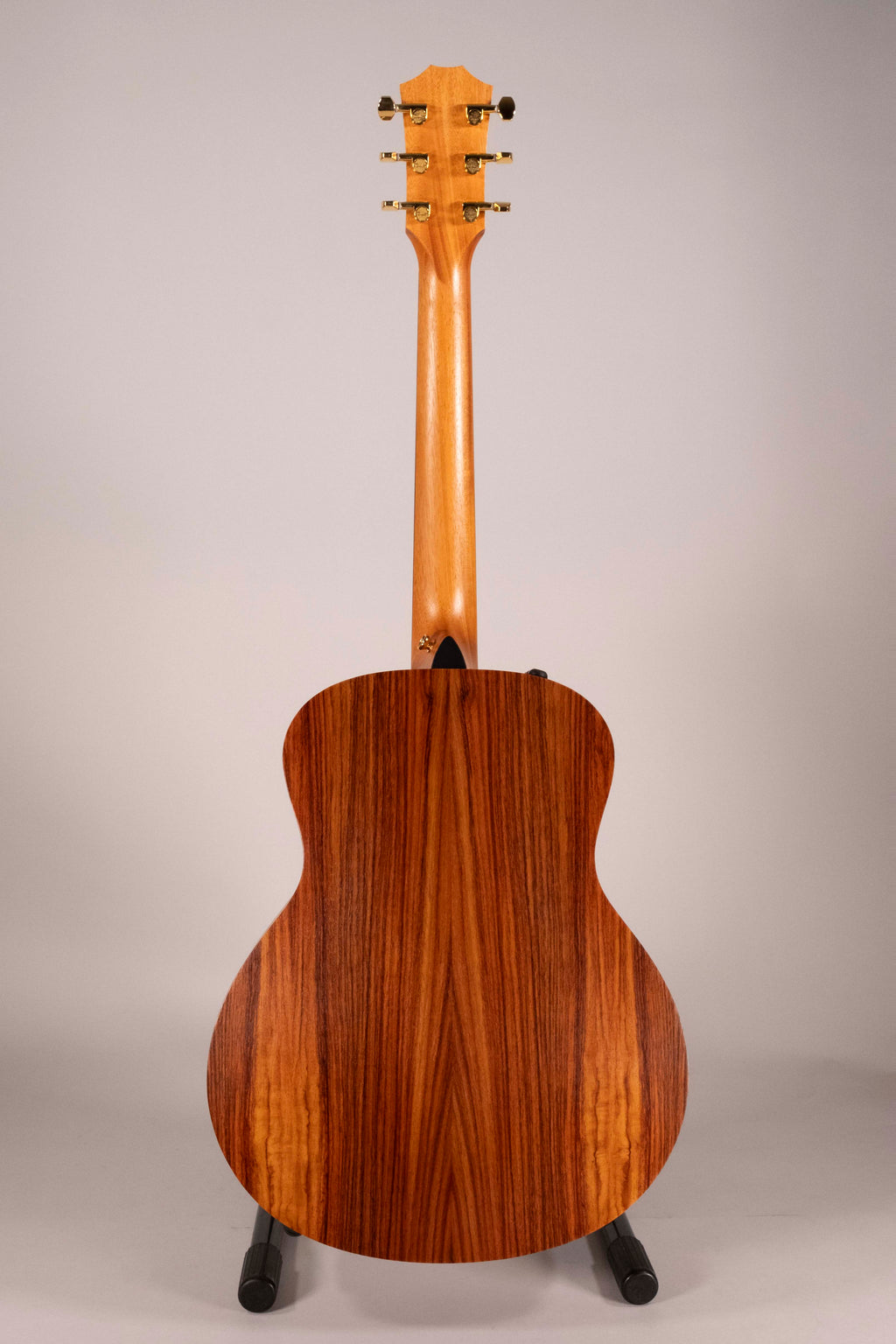 TAYLOR GS MINI E-RW LTD USATA
