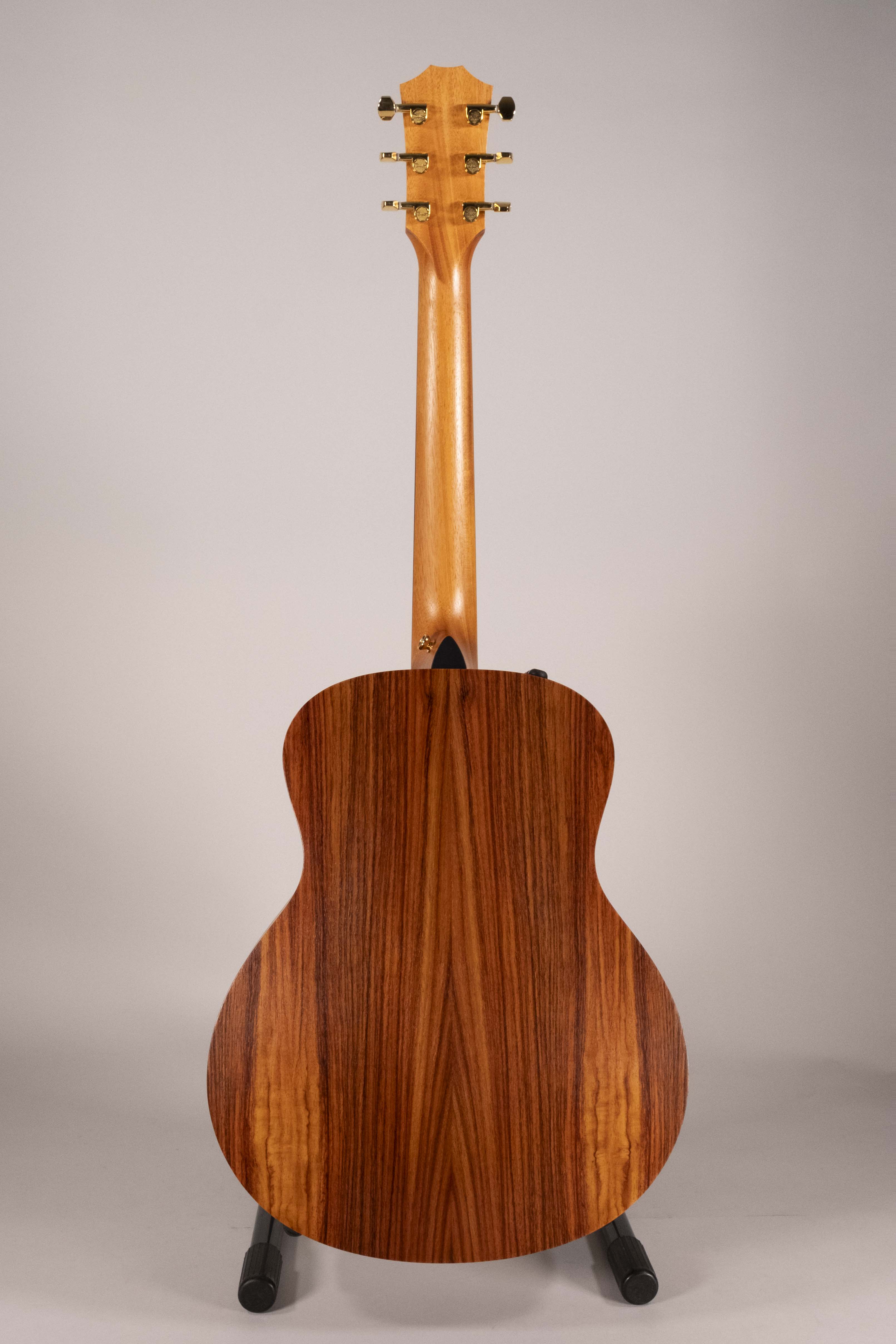 TAYLOR GS MINI E-RW LTD USATA