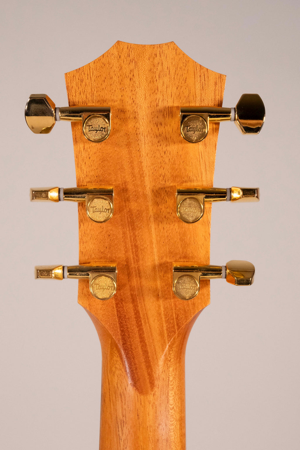 TAYLOR GS MINI E-RW LTD USATA
