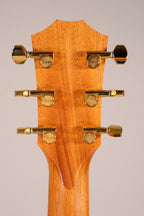 TAYLOR GS MINI E-RW LTD USATA