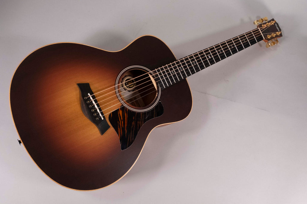 TAYLOR GS MINI E-RW LTD USATA