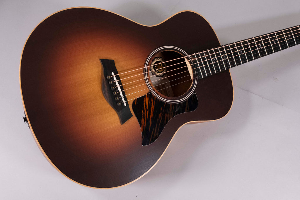 TAYLOR GS MINI E-RW LTD USATA