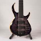 SIRE M7 SWAMP ASH USATO