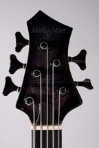 SIRE M7 SWAMP ASH USATO