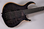 SIRE M7 SWAMP ASH USATO