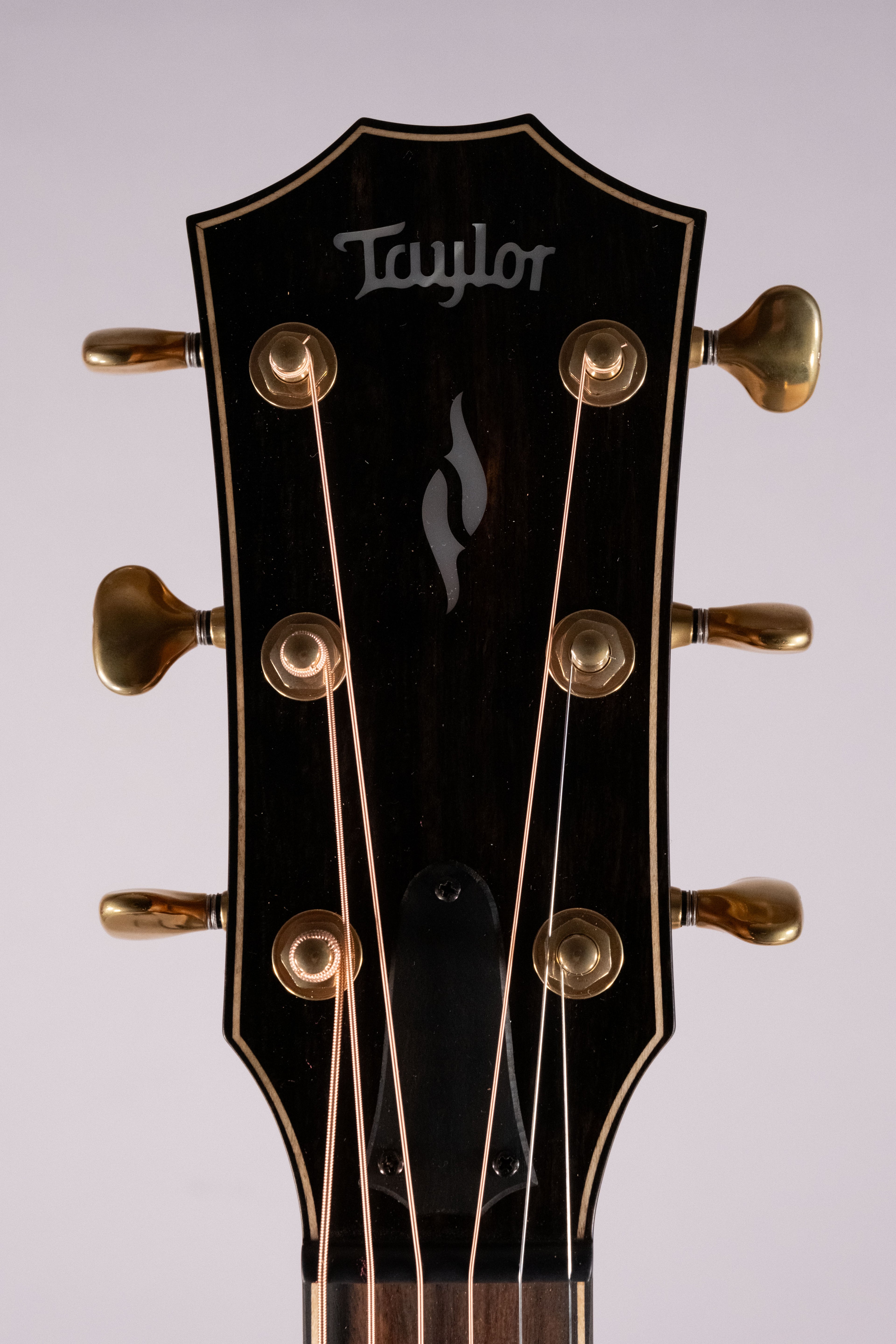 Taylor 814Ce Builder's Edition