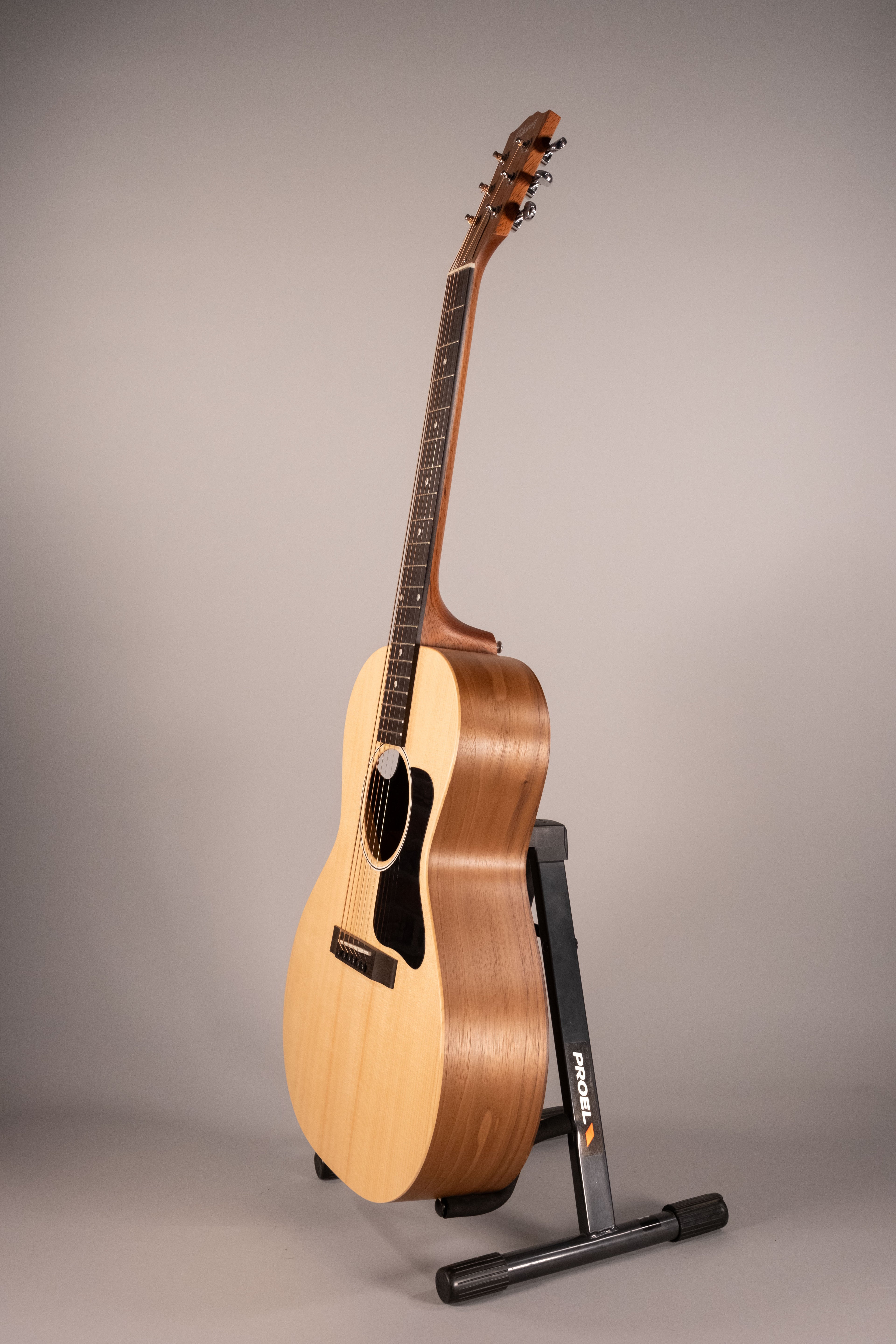 Gibson G00 Chitarra Parlor