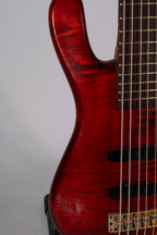 WARWICK STREAMER LX 5C USATO