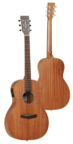 Tanglewood Winterleaf Tw3 E Chitarra Acustica