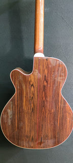 TAKAMINE SOLE LUNA 1998 LTD USATA