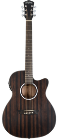 WASHBURN EBONY ACE