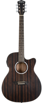 WASHBURN EBONY ACE