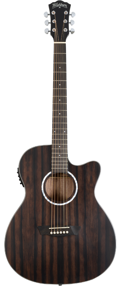 WASHBURN EBONY ACE