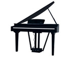 Echord GP10B Pianoforte Codino Digitale Nero Lucido
