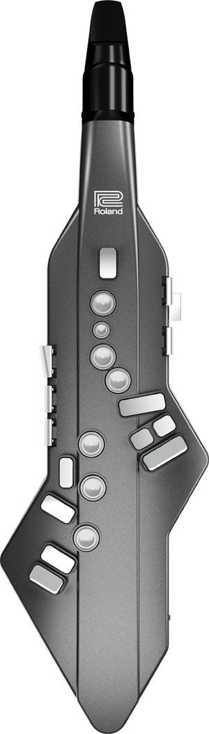 Roland Ae05 Aerophone Go