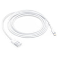 Apple Lighting To Usb Cavo 2 Mt