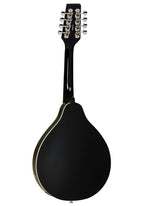 Tanglewood Mandolino Twm T Elettrificato Black Lucido