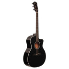 Taylor Custom 214Ce Deluxe Black Satin Tuners