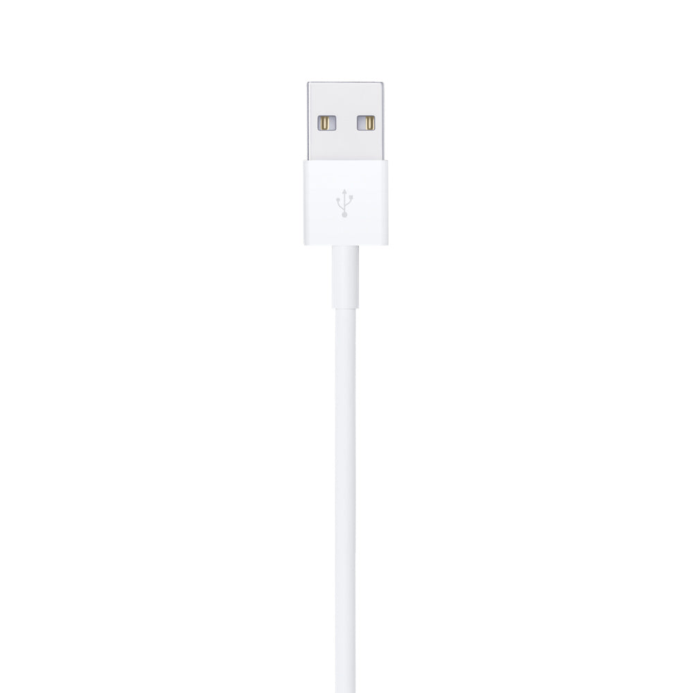 Apple Lighting To Usb Cavo 2 Mt